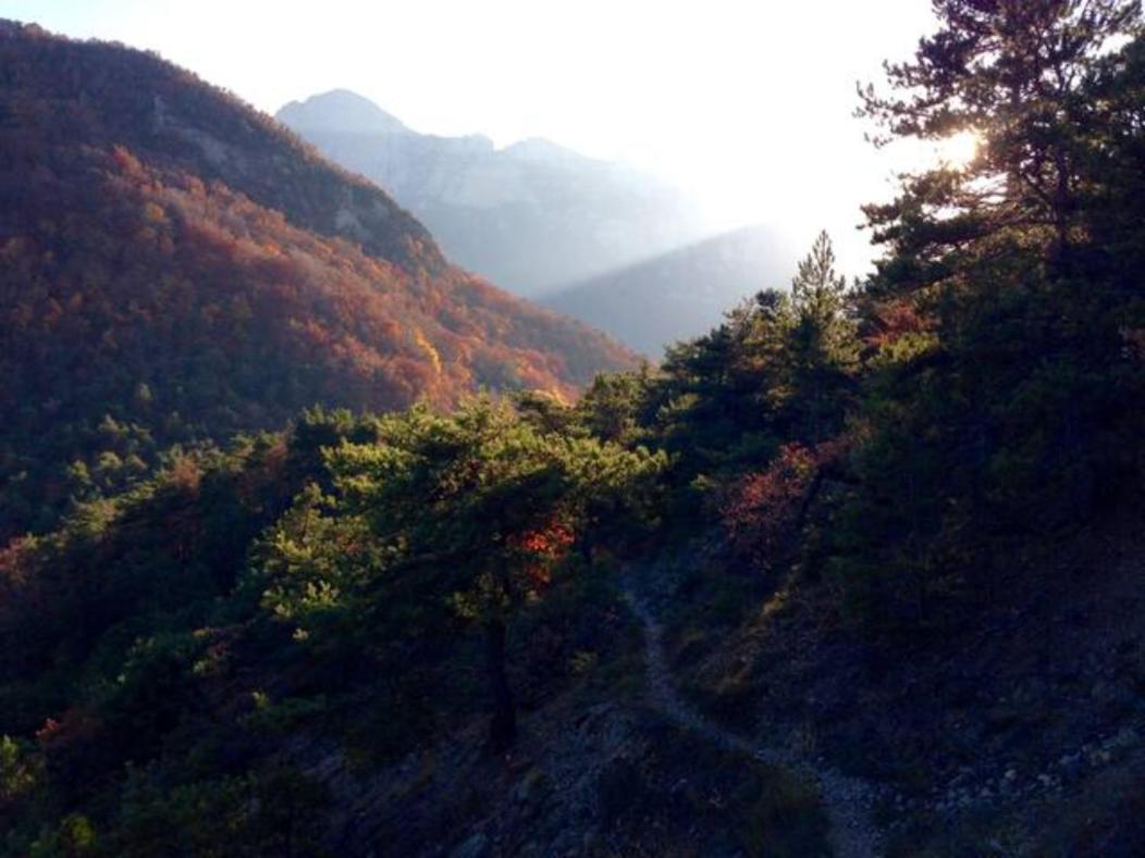 Gites Du Puyjovent - Cote Foret - A 15 Minutes De Crest, Vue Panoramique, Calme Piégros-la-Clastre Zewnętrze zdjęcie